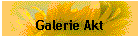 Galerie Akt