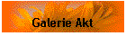 Galerie Akt