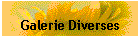 Galerie Diverses