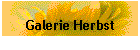 Galerie Herbst