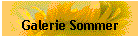 Galerie Sommer