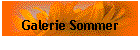 Galerie Sommer